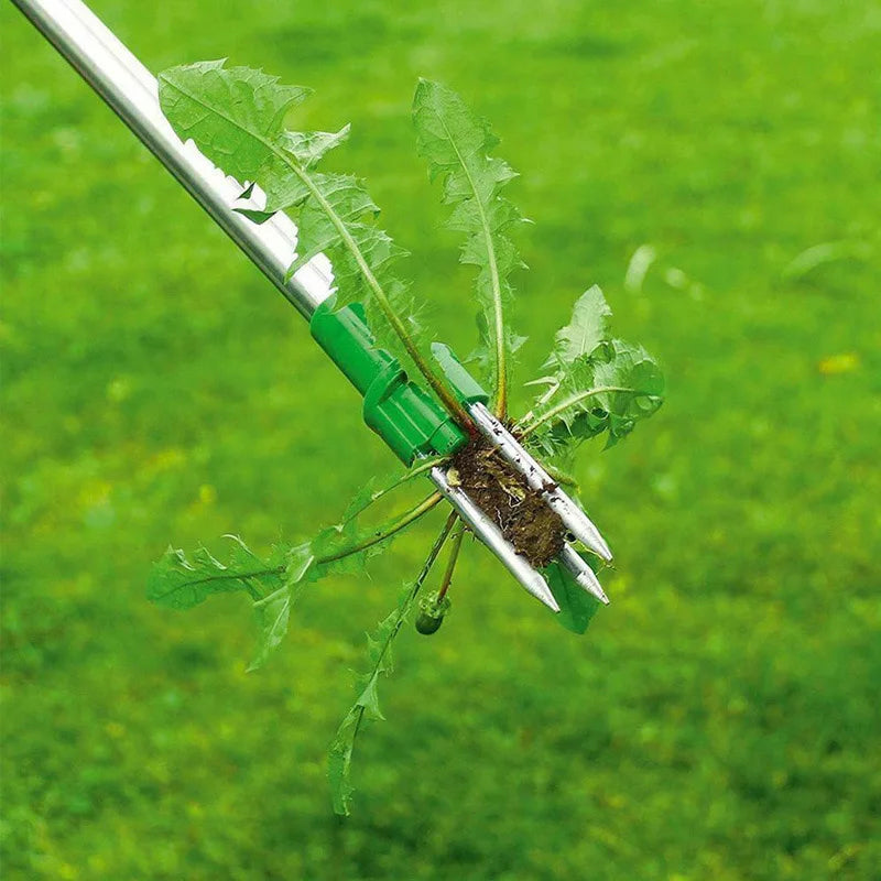 Long Handle Weed Remover