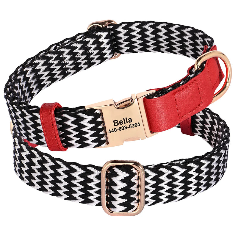 Custom Nylon Dog Collar