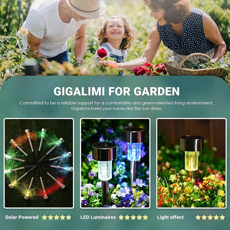 Outdoor Solar Garden Lights