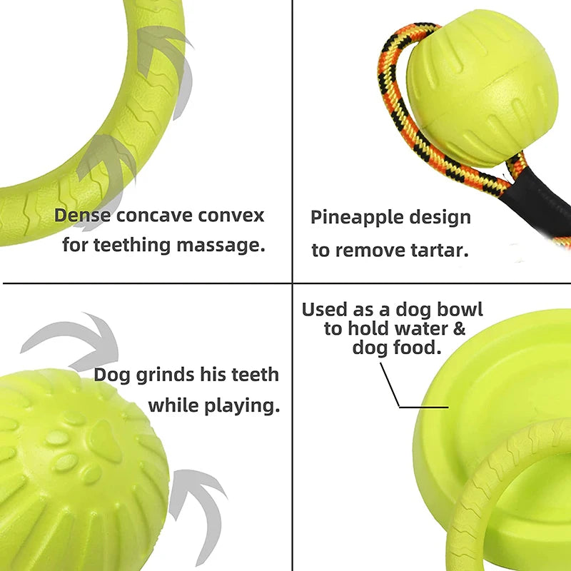 Pet Flying Disc Training Ring