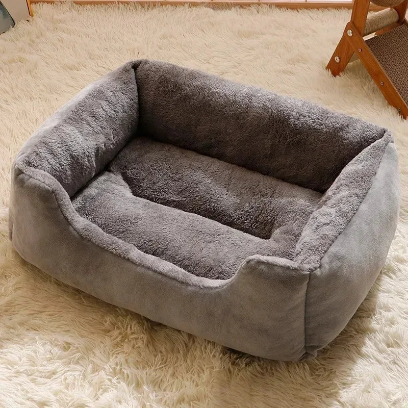 Cozy Cushions for Cats and Dogs