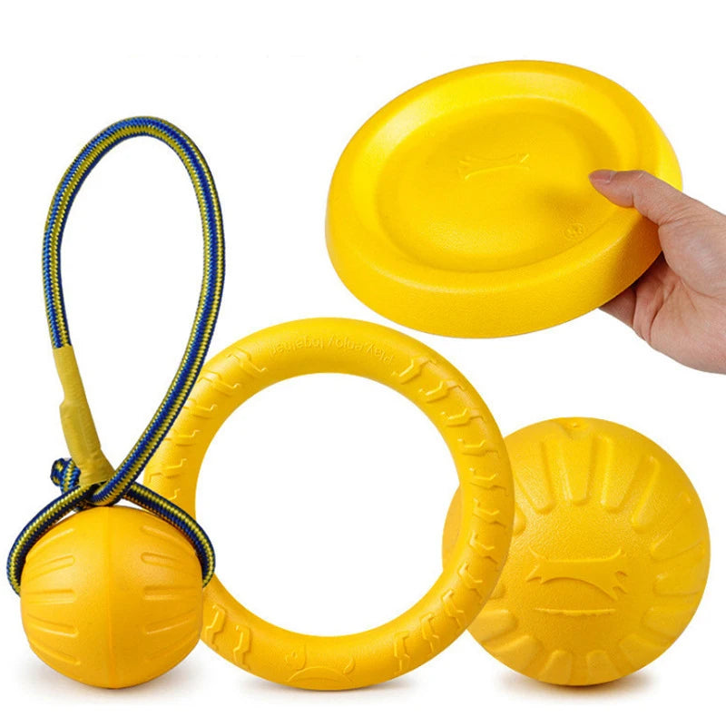 Pet Flying Disc Training Ring