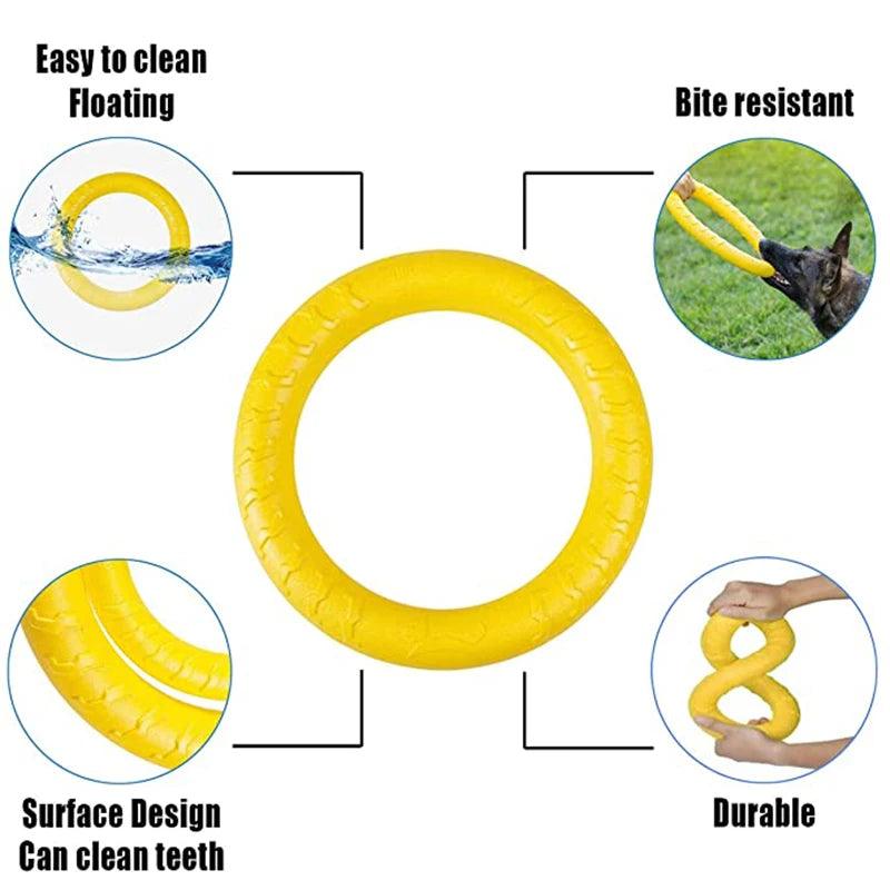 Pet Flying Disc Training Ring