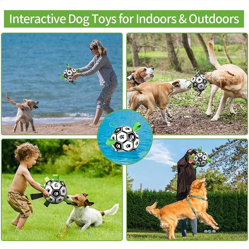 Kimpets Interactive Dog Football Toy