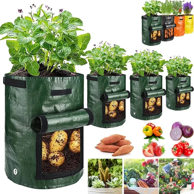 Potato Grow Bags