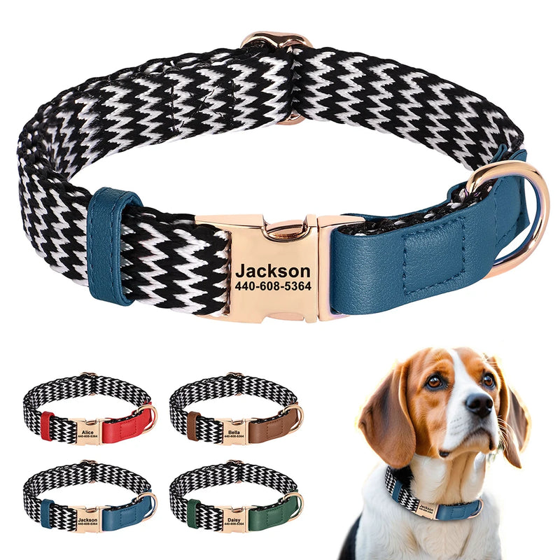 Custom Nylon Dog Collar