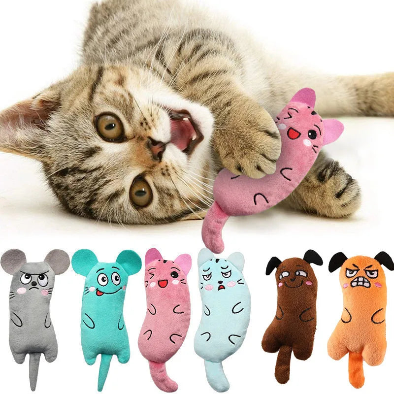 Cute Cat Toys