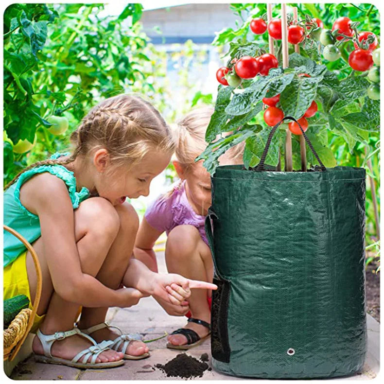 Potato Grow Bags