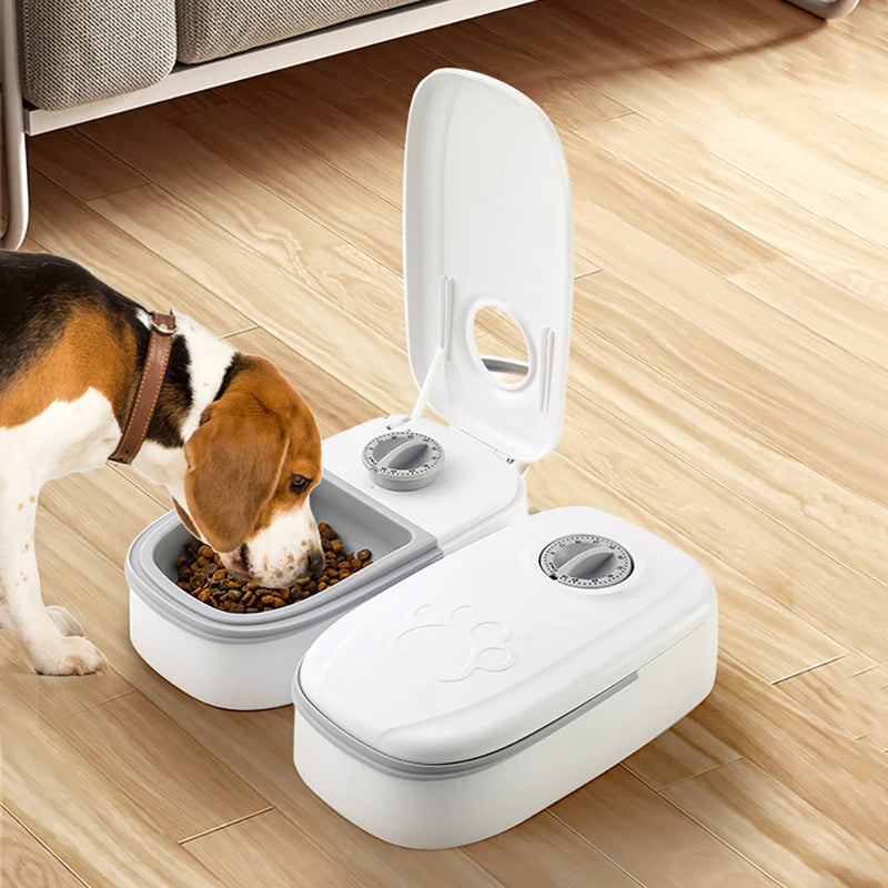 Automatic Cat Feeder