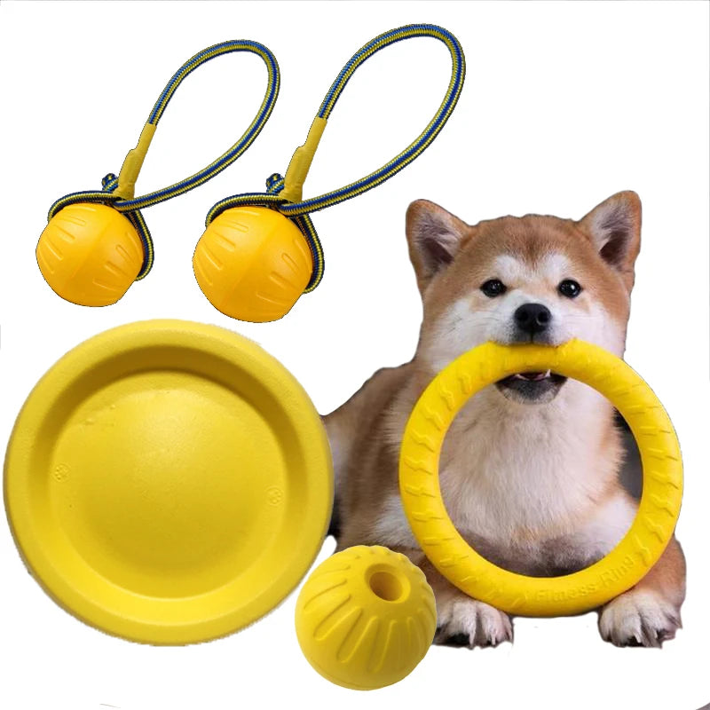 Pet Flying Disc Training Ring