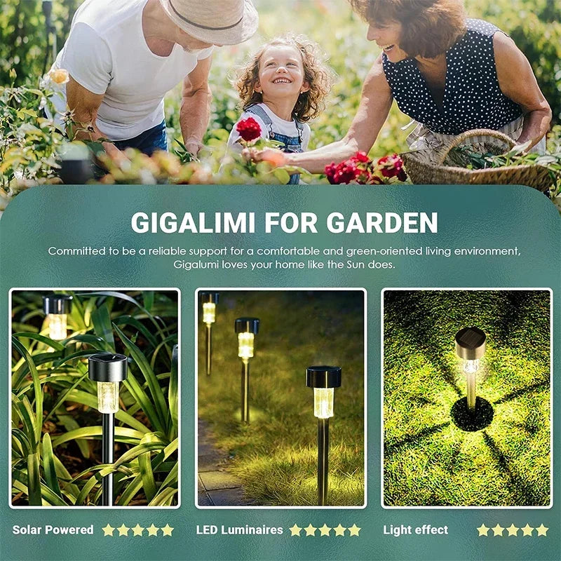 Outdoor Solar Garden Lights