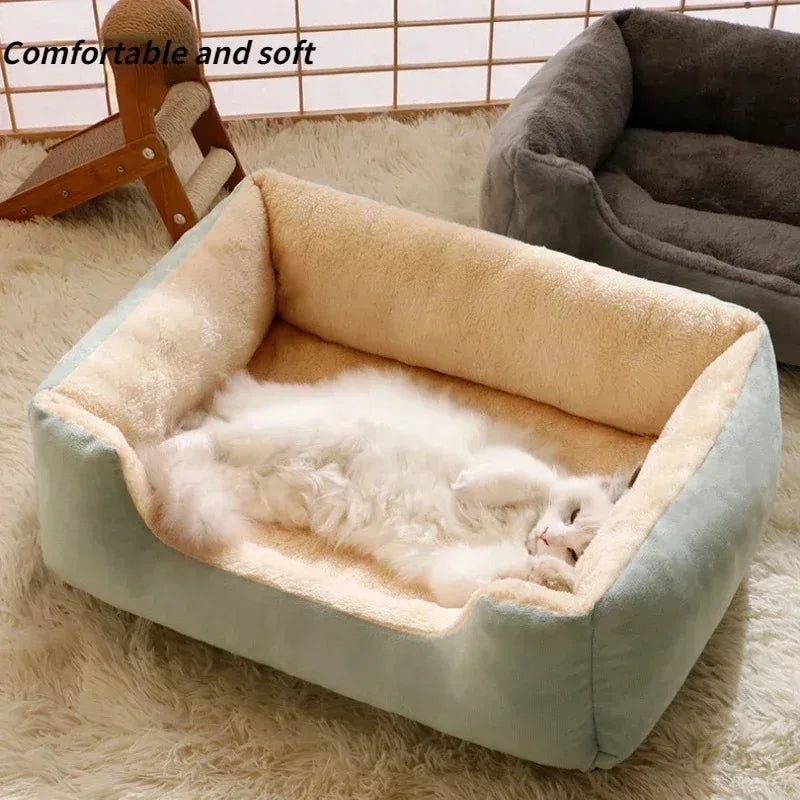 Cozy Cushions for Cats and Dogs