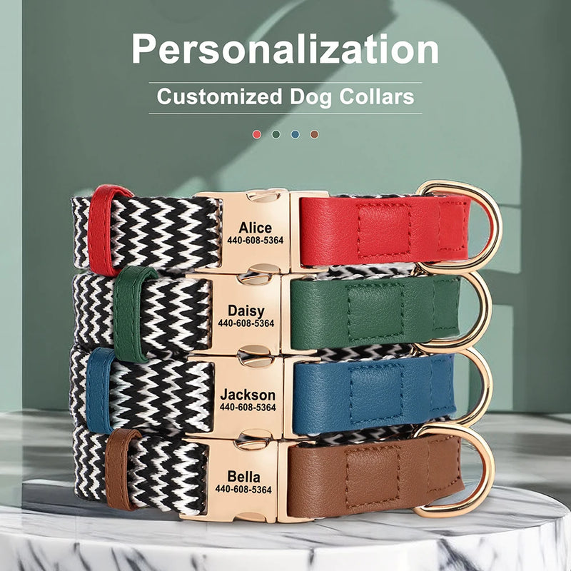 Custom Nylon Dog Collar