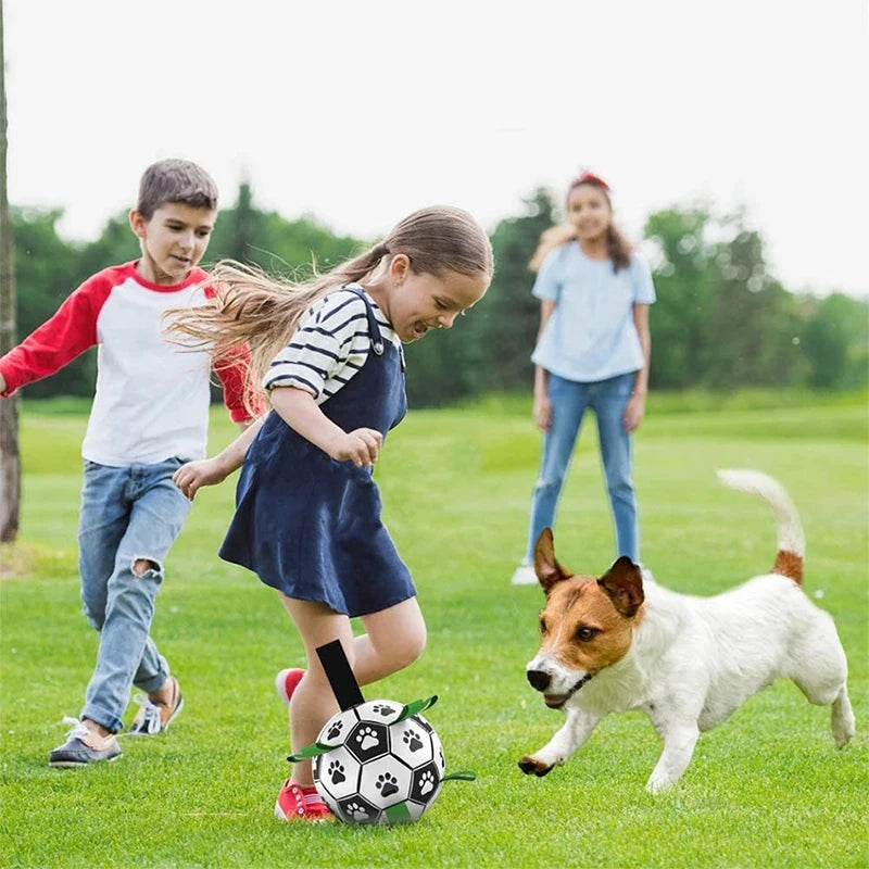 Kimpets Interactive Dog Football Toy