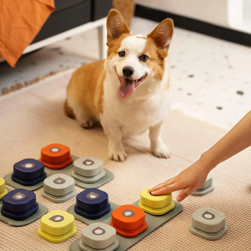 Talking Pet Communication Toy