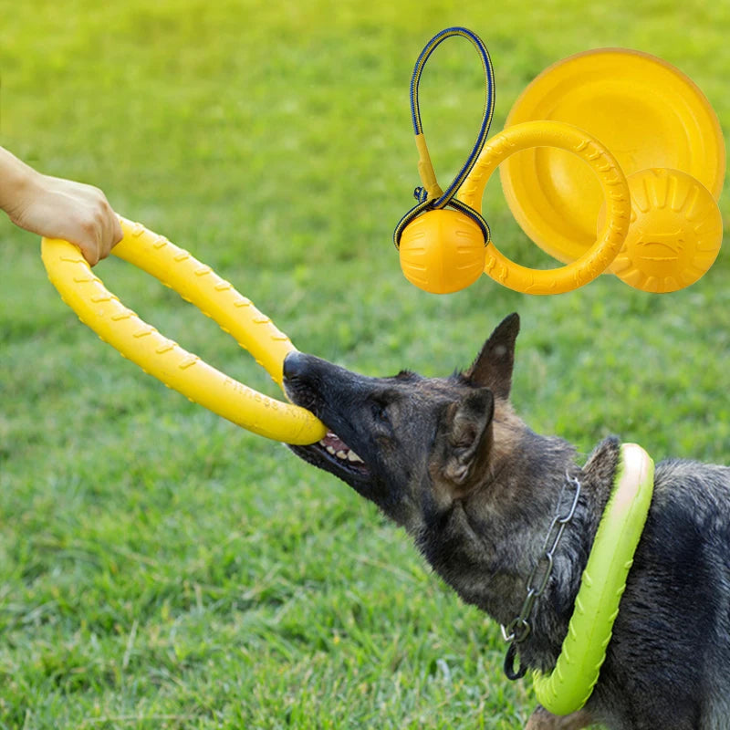 Pet Flying Disc Training Ring