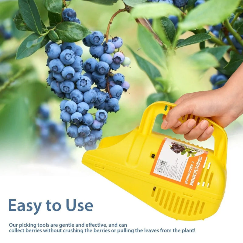 Multifunctional Blueberry Picker